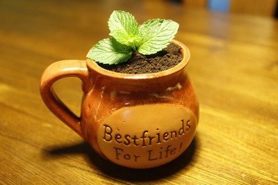 创意奶茶怎么做