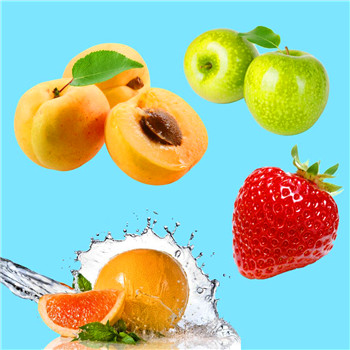 维果部落加盟好不好