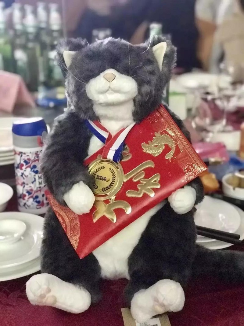 &ldquo;过年了，我们明年还要在一起&rdquo;博多工贸集团2018年会盛典