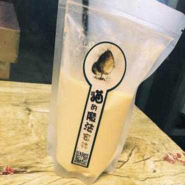 猫的魔法密林图片1