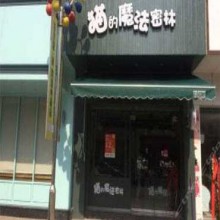 猫的魔法密林图片3