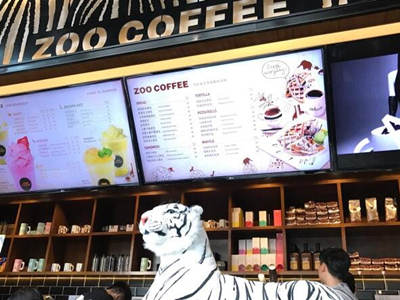 Zoo Coffee加盟