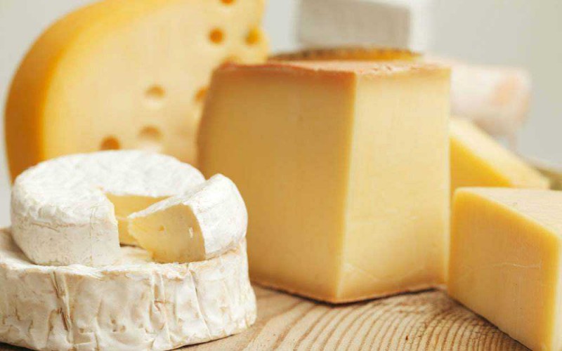 苏记奶酪怎么样？条件有哪些？