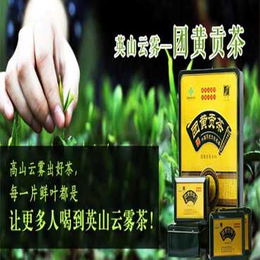 团黄贡茶图片2