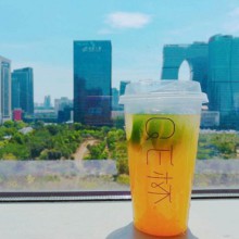 QE杯图片3