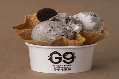 g9分子冰淇淋加盟图片1