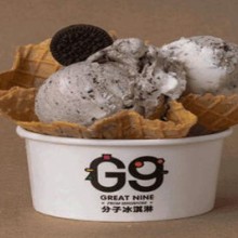 g9分子冰淇淋加盟图片1