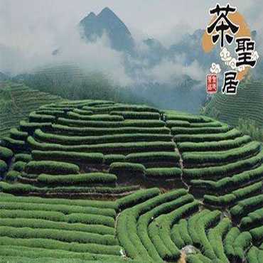 茶圣居茗茶图片1