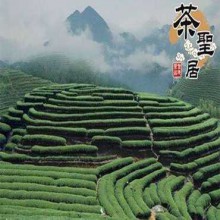 茶圣居茗茶图片1