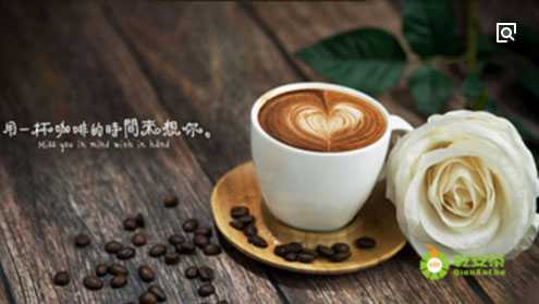 乾安茶