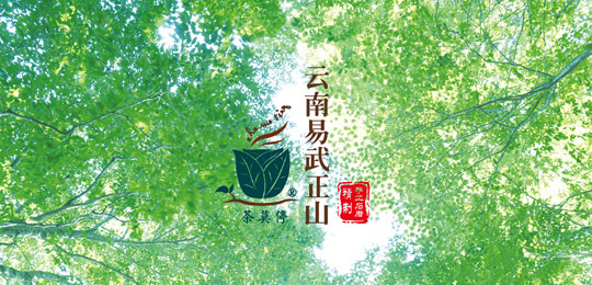 茶莫停