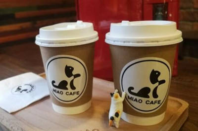 喵cafe·猫咪咖啡加盟图片1