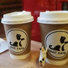 喵cafe·猫咪咖啡加盟图片1