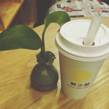 鲜之醇奶茶图片1