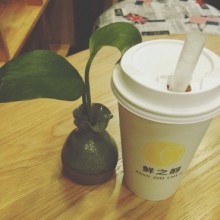 鲜之醇奶茶图片1