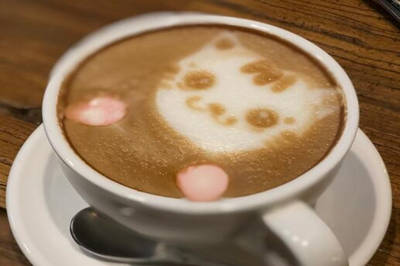小院有猫咖啡加盟图片2