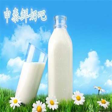 申泰鲜奶吧图片1