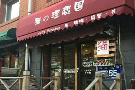 加盟猫的理想国咖啡馆怎么样