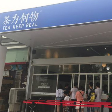 茶为何物图片2