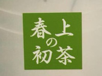 春上初茶