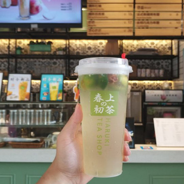 春上初茶图片2