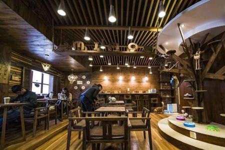 加盟喵cafe怎么样