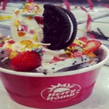Berry Bomb酸奶冰淇淋加盟图片3