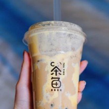 茶魚图片2