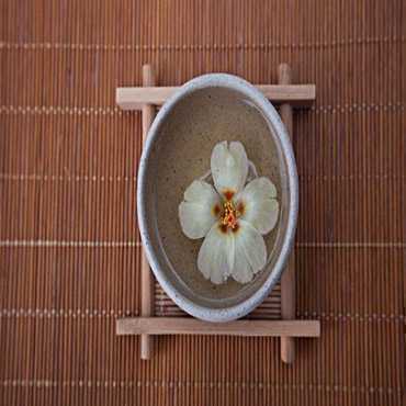 马爸爸の茶该如何选址获得利润加成呢?