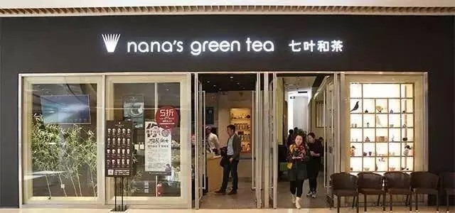 为什么七叶和茶这么火爆呢？