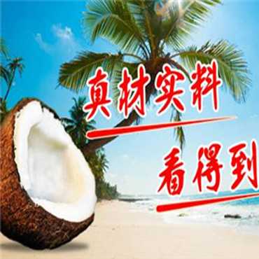 老大椰图片2