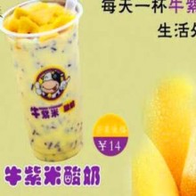 牛紫米优格酸奶图片1
