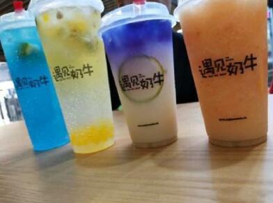 遇见奶牛加盟怎么样？一年能赚多少钱？