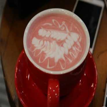 奶茶加盟店有哪些品牌