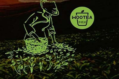 午瓯茶加盟图片2