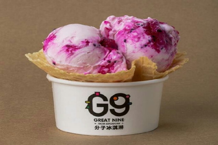 g9分子冰淇淋加盟费多少钱？