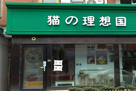 怎样加盟猫的理想国咖啡？