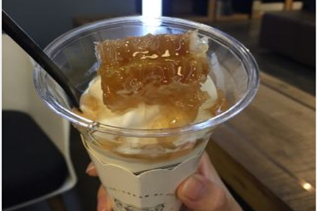 softree苏芙特丽冰淇淋的加盟费是多少？