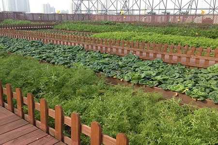 云菜园加盟总部地址多少？云菜园加盟有哪些优势呢？
