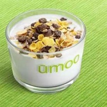 UMOO家手工酸奶加盟图片3