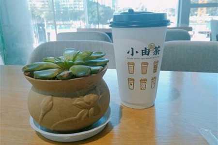 广州小由制茶加盟