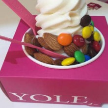 IF YOLE冻酸奶加盟图片2