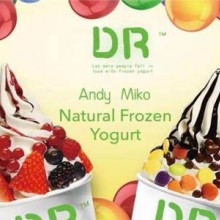 DR澳洲冻酸奶加盟图片1